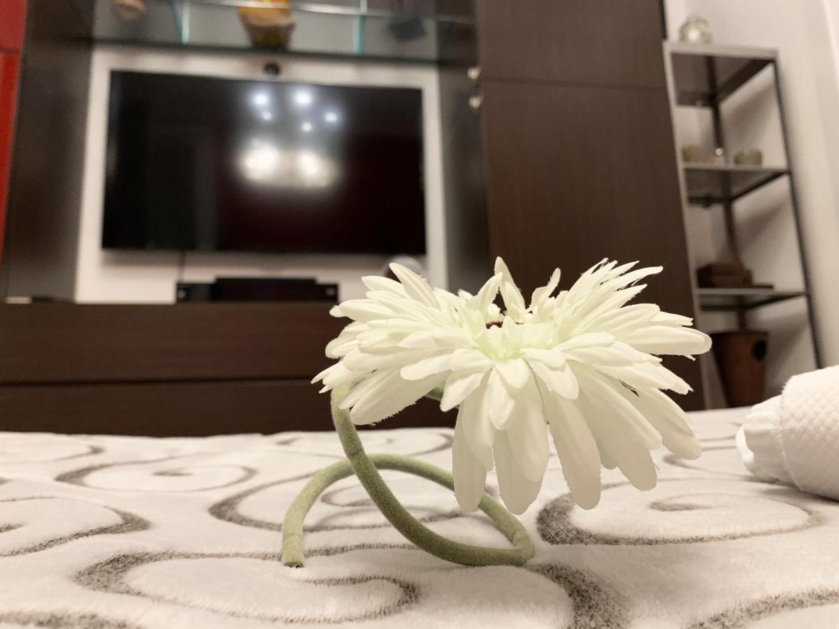 Sansiro47 Bed and Breakfast Milano Exteriör bild